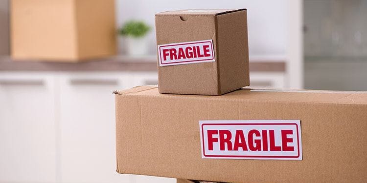 Cover Image for International shipping to New Zealand: Fragile Items