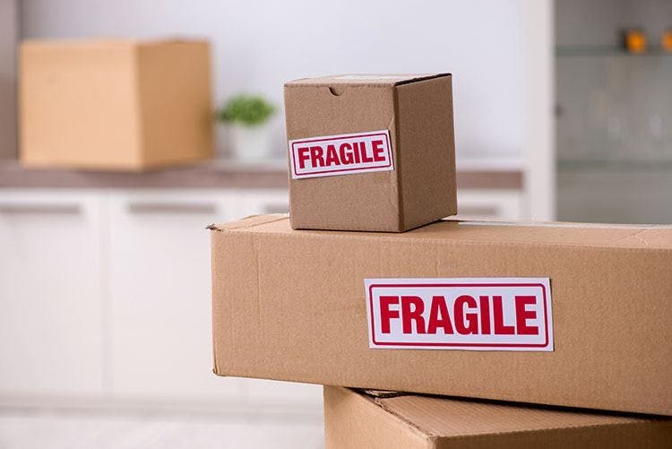 Cover Image for International shipping to New Zealand: Fragile Items